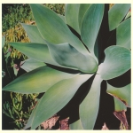 2012-01-19 _  C220 _ 003.jpg